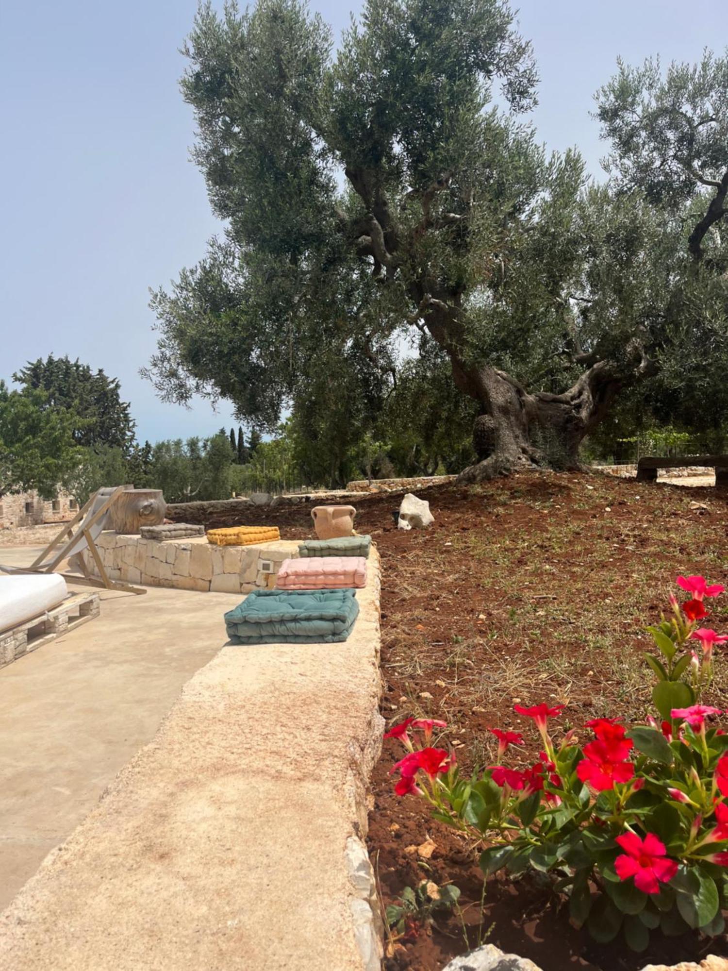 Villa Dominique Relax A Pochi Kilometri Dal Mare Каровіньйо Екстер'єр фото